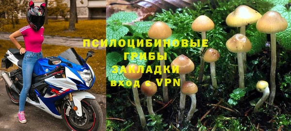 2c-b Покровск