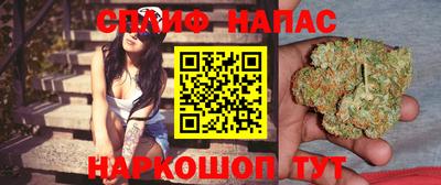 прущие грибы Апшеронск