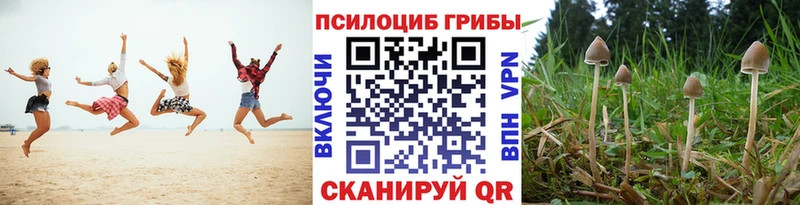 omg ONION  Березники  Псилоцибиновые грибы мухоморы  купить наркотики цена 