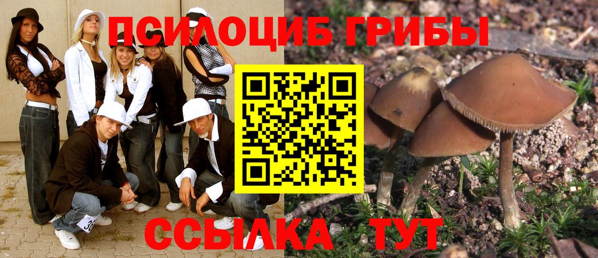 что такое наркотик  Псилоцибиновые грибы Psilocybine cubensis  Березники  Псилоцибиновые грибы Psilocybe 
