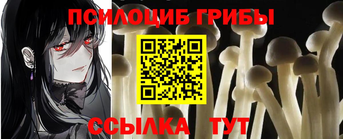 Березники  Псилоцибиновые грибы прущие грибы  Вход с VPN  Галлюциногенные грибы ЛСД 