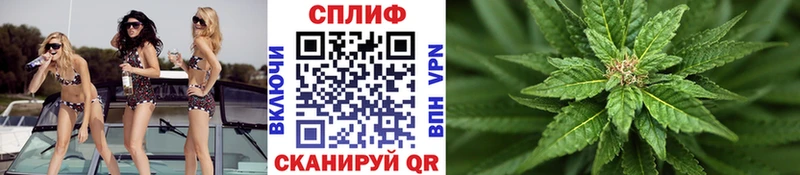 Марихуана тримм  Березники 
